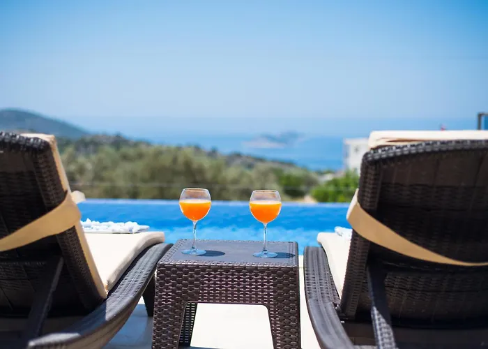 Villa Premium3 *