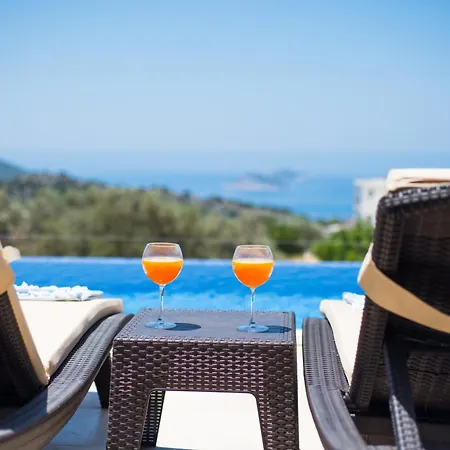 Villa Premium3 *